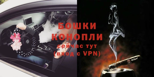 крисы Арсеньев