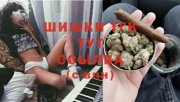 крисы Арсеньев