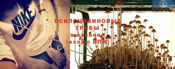 крисы Арсеньев