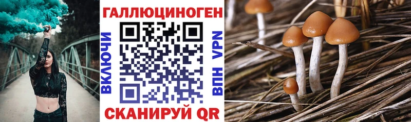 Галлюциногенные грибы MAGIC MUSHROOMS  Волгодонск 